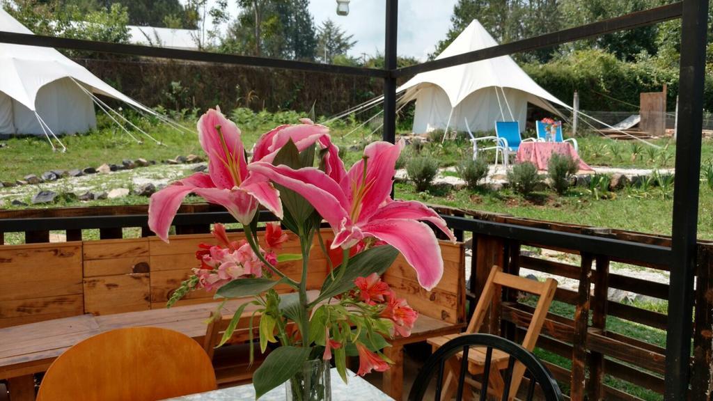 فندق فالي دي برافوفي  Acatitlan Glamping المظهر الخارجي الصورة