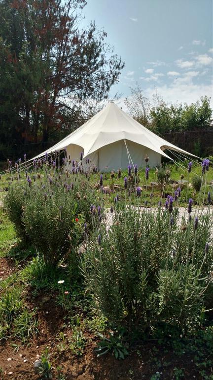 فندق فالي دي برافوفي  Acatitlan Glamping المظهر الخارجي الصورة